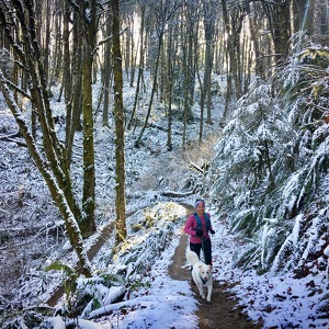 Fundraising Page: Theresa Silveyra